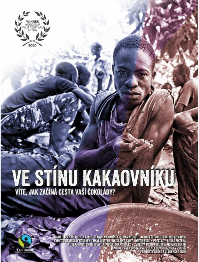 Ve stínu kakaovníku