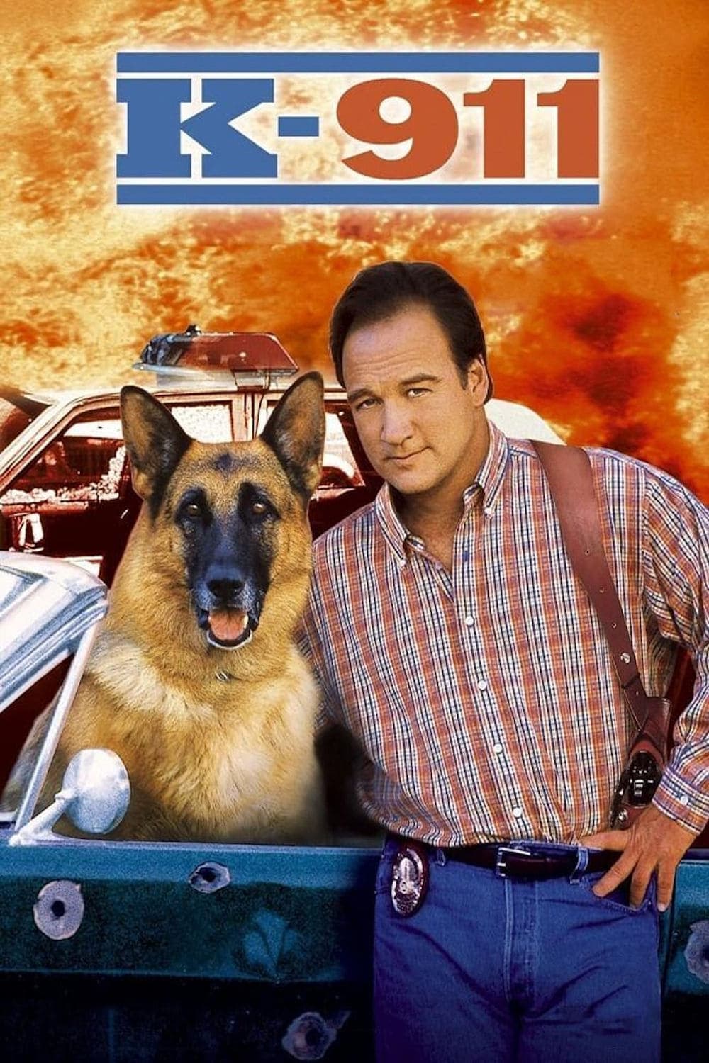 K-9 2: Můj přítel se studeným čumákem