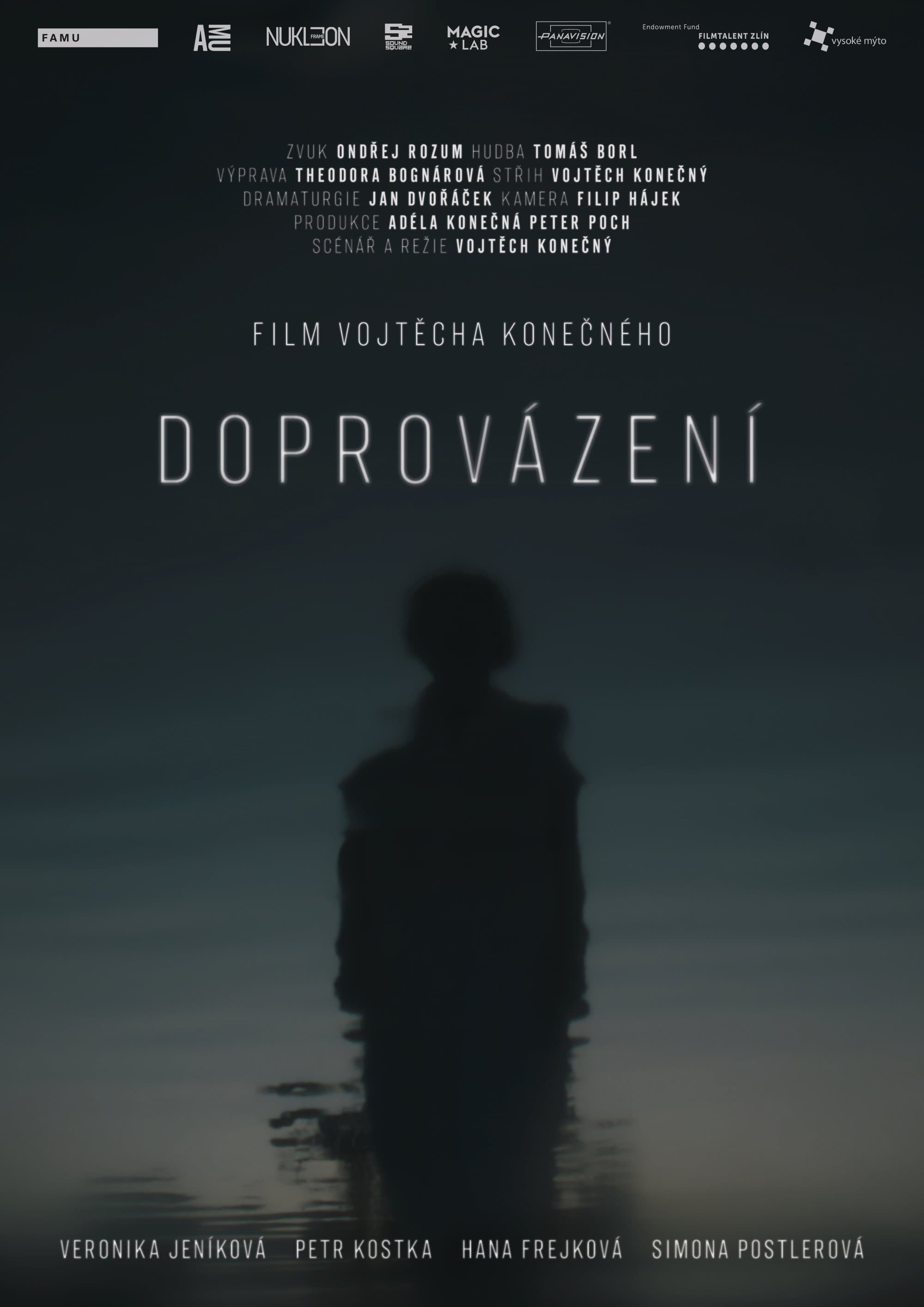 Doprovázení