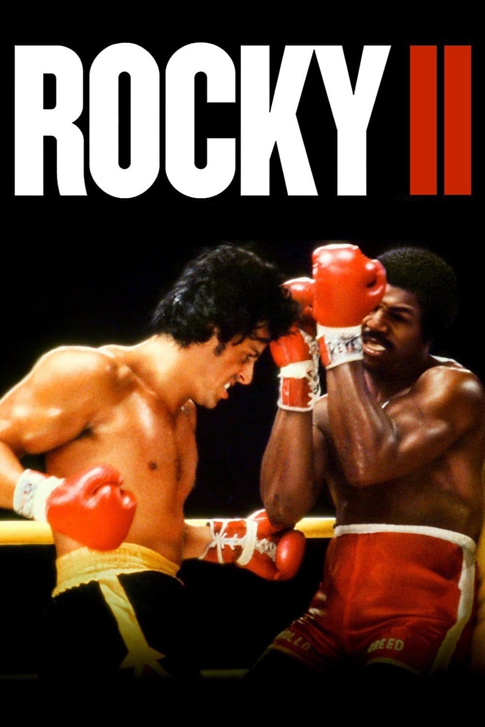 Rocky