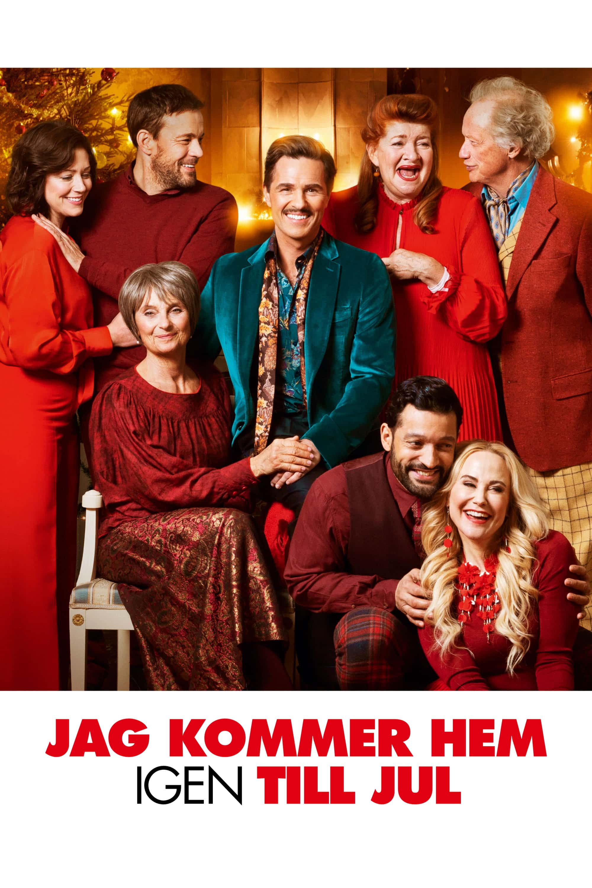 Na Vánoce přijedu domů
