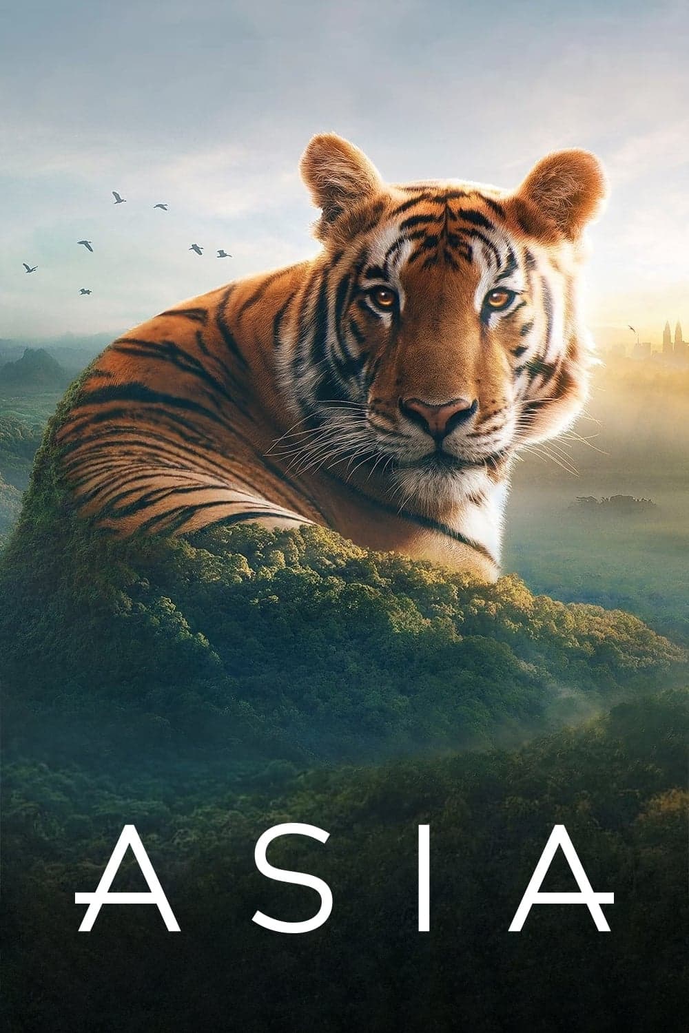 Zázračná Asie